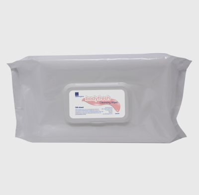 Essential Skin Moist Cleansing Wipes (Pillow Pack)