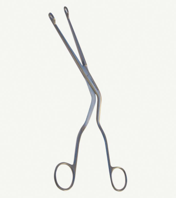 Magill Forcep Adult