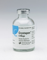 [AMB] (POM) Benzylpenicillin Sodium Powder - 600mg - 600mg Vial - (Pack 25)