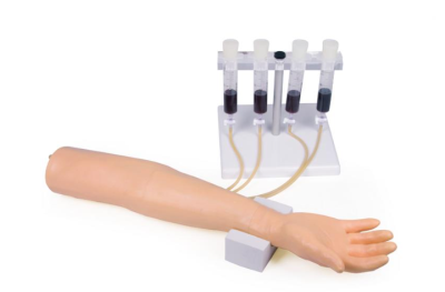 Training Arm For Intravenous Injection and Infusion